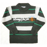 Sweater for boys "2018"